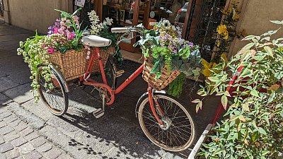 v nabídce jarní kvítí