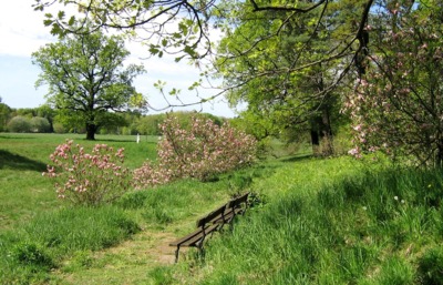 Jaro v parku  Bad Muskau