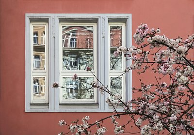 Včera jsem potkala jaro ...