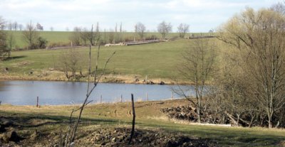 Daňčí obora bez daňků