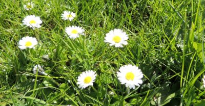 jednoduché, ale krásné