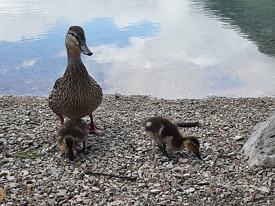 Tady se moc nenajím...