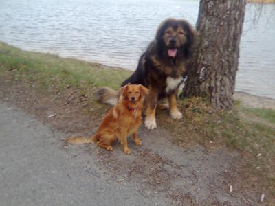 Bertíku vyfotit ano, ale domů mi toho drobečka nevoď:)))