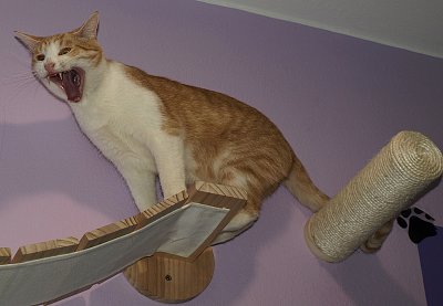 Jak jsem byla (chvíli) bohyní