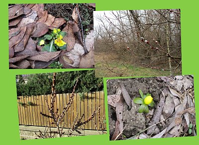 Jarní úlovky v únoru