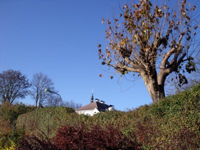 Kostel a strom u nás
