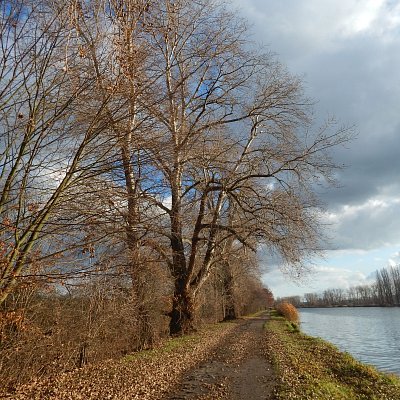 Kostelec nad Labem