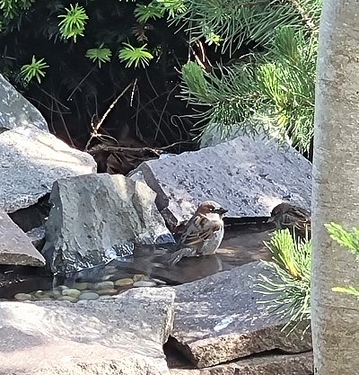 Letní sezóna zahájena...