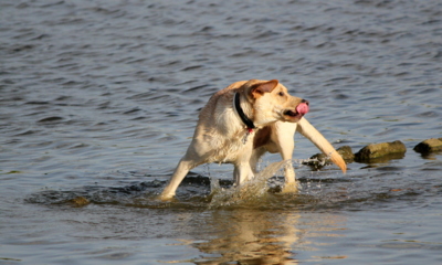 Když se oteplí II....