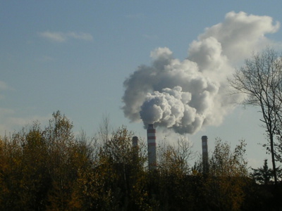 kour-nad-ceperkou.jpg
