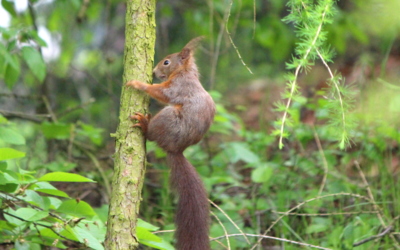 Já se držííím....