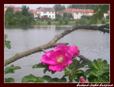 kouzlo-ceske-prirody-038-telc.jpg