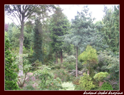kouzlo-ceske-prirody-086-arboretum-boskovice.jpg
