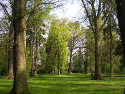 kouzlo-parku-lazne-bohdanec.jpg