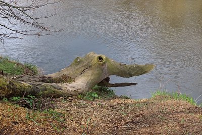 Krokodýl z Ohře, v mžiku tě pozře