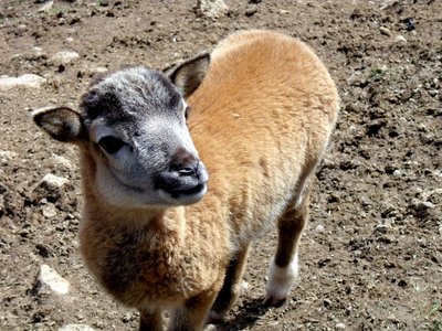 A já mám dneska taky svátek?