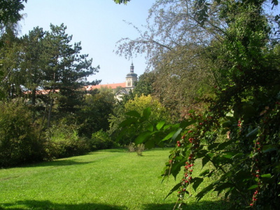 kutnohorsky-park.jpg