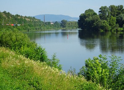 Labe za Roudnicí