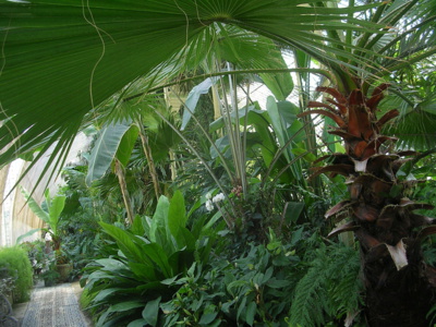 Botanická zahrada v Lednici