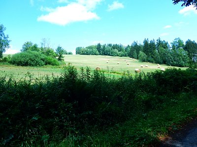 Leto a pole obklopené lesom...