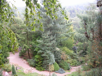 male-arboretum-boskovice.jpg