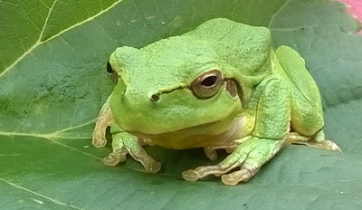 Krásné počasíčko...