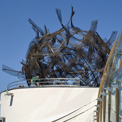 meduza-na-strese-tanciciho-domu.jpg