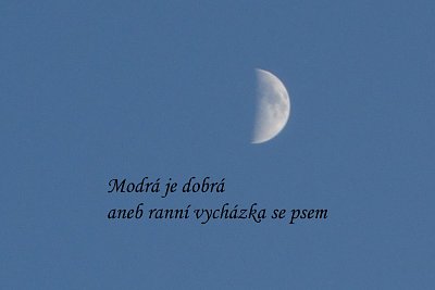 modra-01.jpg
