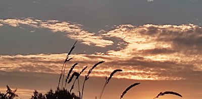 Foto ze startu