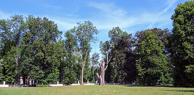 v zámecké zahradě *