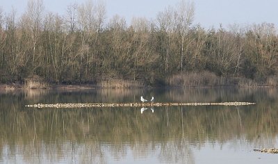 na-ostrove-1.jpg