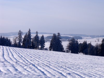 Lednová pole