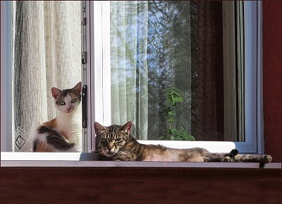 Ne, ven nepůjde, je nezletilá ...