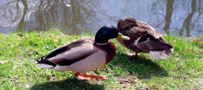 Tak jak, jdeš  nebo budeš dělat fóry?