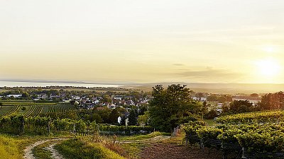 neusiedler_see.jpg