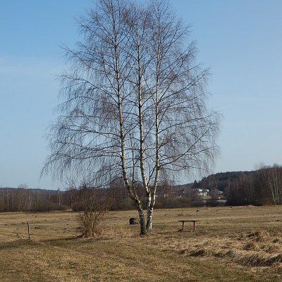 Nová Bystřice - odpočinek na louce