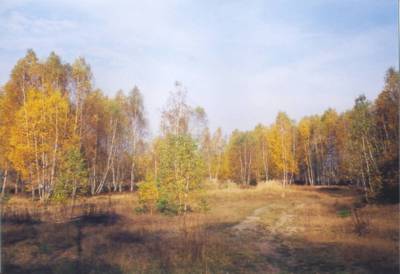 novohradecke-krasne-lesy-podzim.jpg