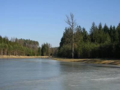 novohradecke-krasne-lesy-rybnik-biricka-3.jpg