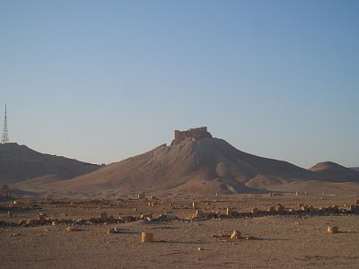 Palmyra