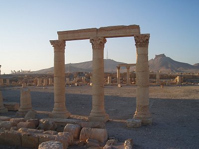 Palmyra