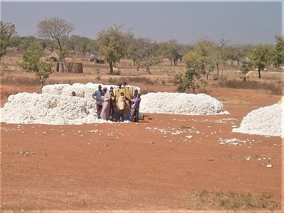 Burkina Faso - bavlna