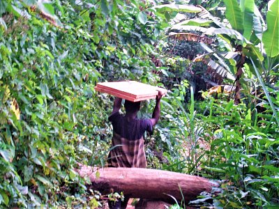 Togo - cestou do vesnice