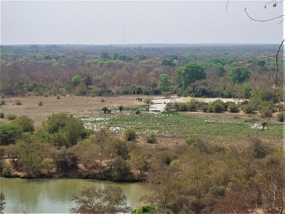 Ghana - národní park Mole, sloní "louže"