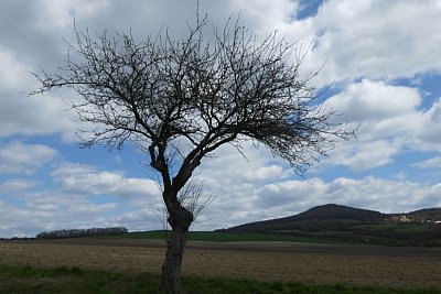 p1010841.jpg