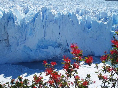 Ledovec Perito Moreno