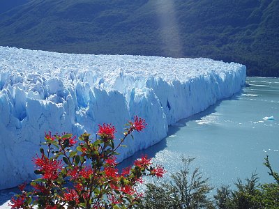 Ledovec Perito Moreno