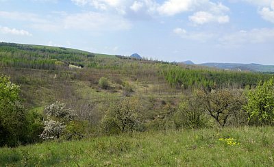 p1020199-2.jpg