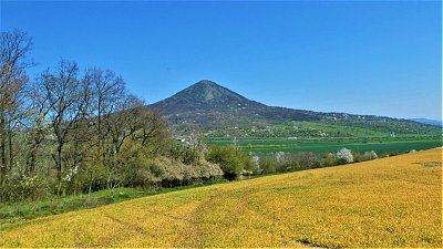p1110942-1.jpg