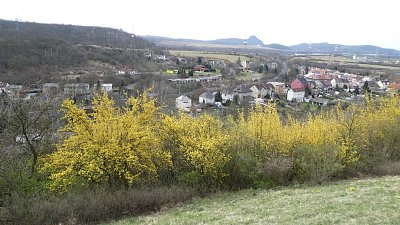 p1170675.jpg