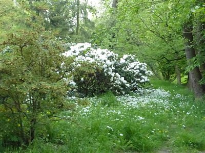 V podzámecké zahradě - Kroměříž